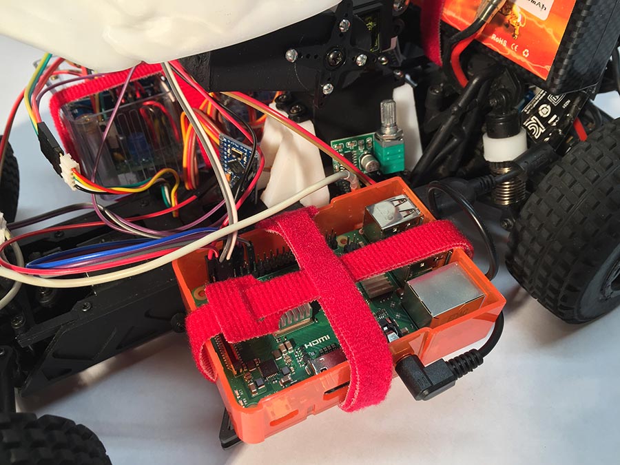 rex rc car